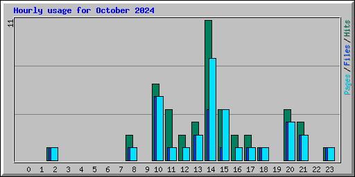 Hourly usage for October 2024